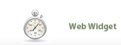 Web Widget